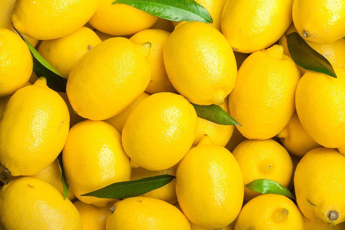 Zitronen, Limetten, Gemüse für die Systemgastronomie/Restaurants